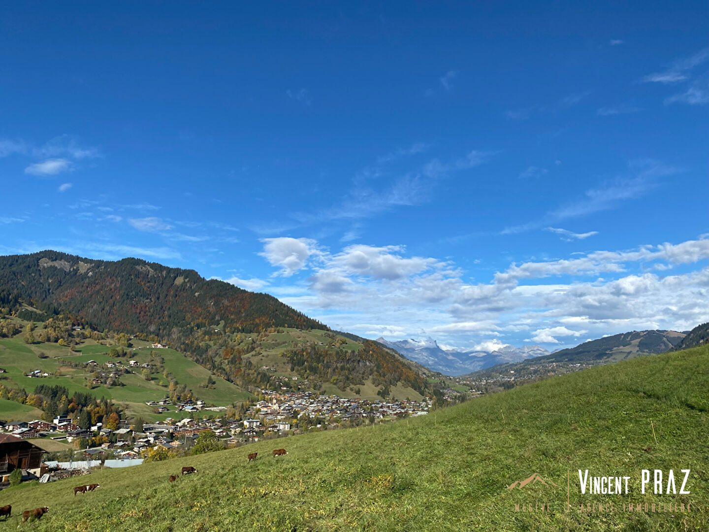 Chalet 225m² - Photo 1